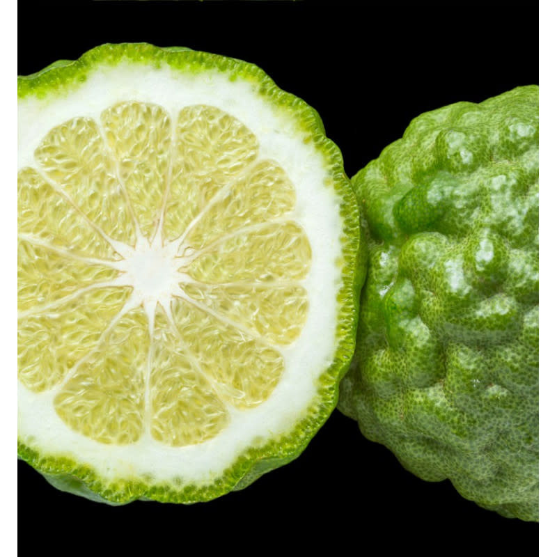 Yodeyma YO Parfum Cheante 50ml