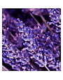 Yodeyma YO Parfum Instint (him) 15ml