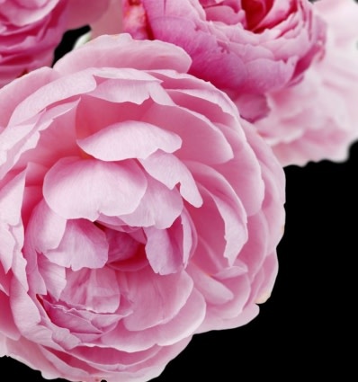 Yodeyma YO Parfum Cheante 100ml