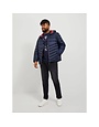JACK&JONES PLUS JJIGLENN JJFOX GE 147 NOOS PLS NML