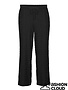 Vero Moda Curve VMCOFINE MW  PANT WVN BTQ CUR