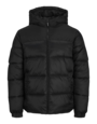 JACK&JONES PLUS JJETOBY PUFFER HOOD PLS