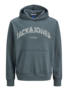 JACK&JONES PLUS JORALMERIA SWEAT HOOD PLS