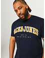 JACK&JONES PLUS JJECALEB VARSITY TEE SS O-NECK NOOS PLS (meerdere kleuren)