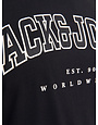 JACK&JONES PLUS JJECALEB VARSITY TEE SS O-NECK NOOS PLS (meerdere kleuren)