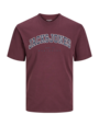 JACK&JONES PLUS JJECALEB VARSITY TEE SS O-NECK NOOS PLS (meerdere kleuren)