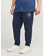 JACK&JONES PLUS JPSTGORDON JJSWIFT SWEAT PANTS NOOS PLS