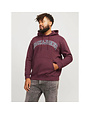 JACK&JONES PLUS JJECALEB VARSITY SWEAT HOOD NOOS PLS