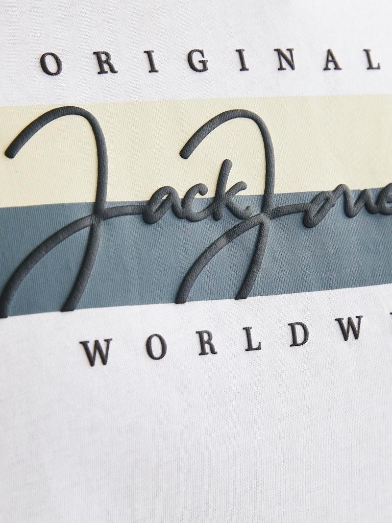 JACK&JONES PLUS JORFREDERIKSBERG BOX TEE SS C.N PLS (4 kleuren)
