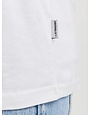 JACK&JONES PLUS JORFREDERIKSBERG BOX TEE SS C.N PLS (4 kleuren)