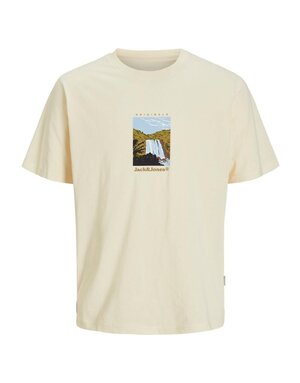 JACK&JONES PLUS JORSPLIT GRAPHIC FRONT TEE SS CREW PLS (3 kleuren)