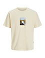 JACK&JONES PLUS JORSPLIT GRAPHIC FRONT TEE SS CREW PLS