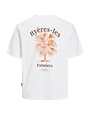 JACK&JONES PLUS JORPAROS EASTER SKETCH TEE SS CREW PLS (3 kleuren)