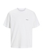 JACK&JONES PLUS JORPAROS EASTER SKETCH TEE SS CREW PLS (3 kleuren)