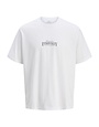 JACK&JONES PLUS JORPARALLEL TEE SS CREW NECK TG PLS (3 kleuren)