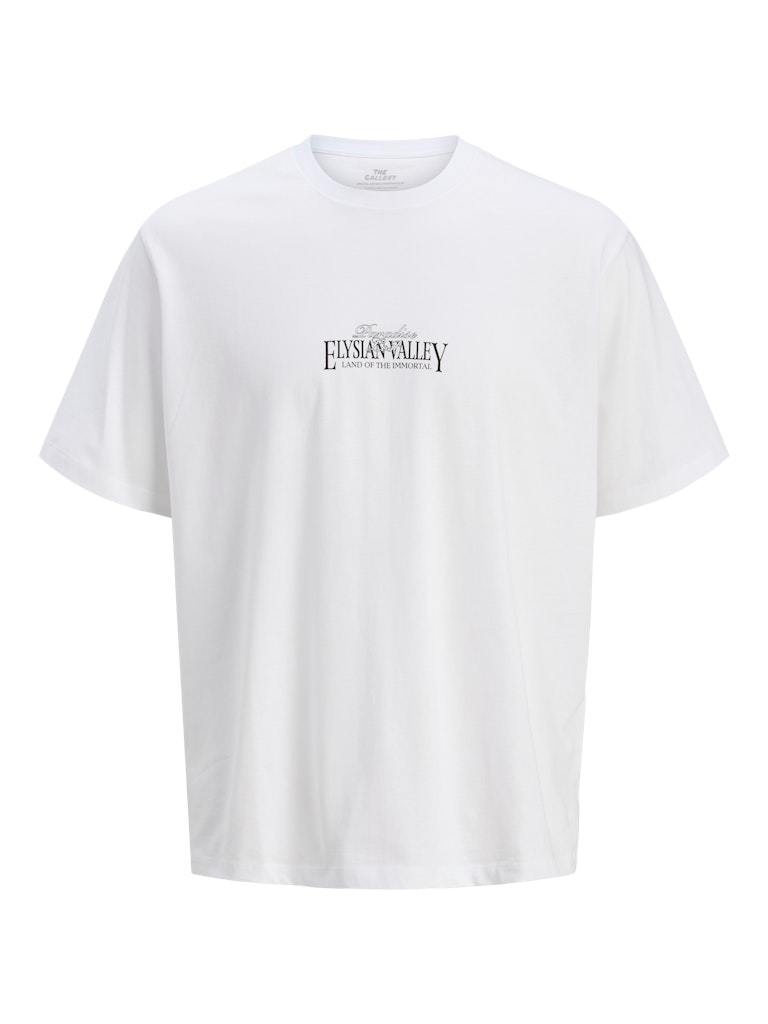 JACK&JONES PLUS JORPARALLEL TEE SS CREW NECK TG PLS (3 kleuren)