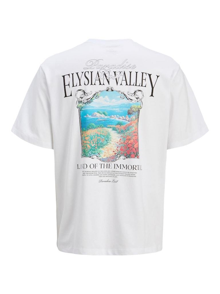 JACK&JONES PLUS JORPARALLEL TEE SS CREW NECK TG PLS (3 kleuren)