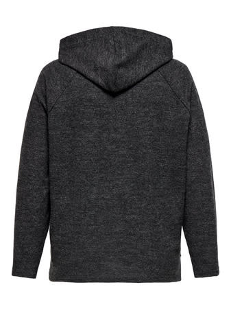 ONLY CARMAKOMA CARBIZZY L/S HOODIE JRS
