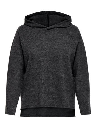 ONLY CARMAKOMA CARBIZZY L/S HOODIE JRS