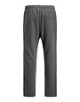 JACK&JONES PLUS JPSTKANE NORREBRO SWEAT PANTS PLS