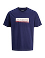 JACK&JONES PLUS JORINWOOD BLOCK BRANDING TEE SS CN PLS