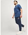 JACK&JONES PLUS JPSTGORDON JJSWIFT SWEAT PANTS (2 kleuren)