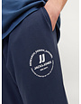 JACK&JONES PLUS JPSTGORDON JJSWIFT SWEAT PANTS NOOS PLS