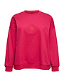 Vero Moda Curve VMCULLA TRINA LS SWEAT BOX JRS CUR