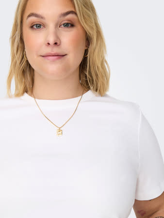 ONLY CARMAKOMA CARJEN LIFE SS JEANS TEE JRS (meerdere kleuren)