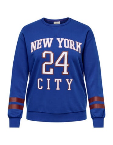 ONLY CARMAKOMA CARBEN L/S O-NECK SWEAT JRS