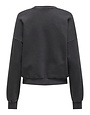 ONLY CARMAKOMA CARLAUREN LIFE L/S O-NECK SWT JRS (2 kleuren)