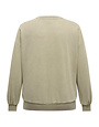 ONLY CARMAKOMA CARLAUREN LIFE L/S O-NECK SWT JRS (2 kleuren)