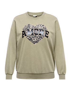 ONLY CARMAKOMA CARLAUREN LIFE L/S O-NECK SWT JRS (2 kleuren)