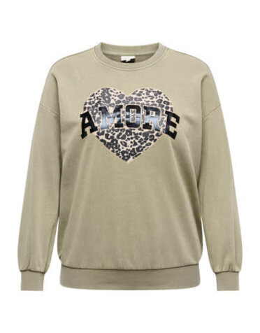 ONLY CARMAKOMA CARLAUREN LIFE L/S O-NECK SWT JRS (2 kleuren)