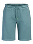 JACK&JONES PLUS JPSTGORDON COLLEGE SWEAT SHORTS MI PLS
