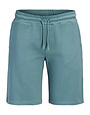 JACK&JONES PLUS JPSTGORDON COLLEGE SWEAT SHORTS MI PLS
