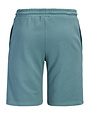 JACK&JONES PLUS JPSTGORDON COLLEGE SWEAT SHORTS MI PLS