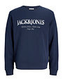 JACK&JONES PLUS JJDEVIN DAYTONA PRINT SWEAT CREW N PLS (3 kleuren)