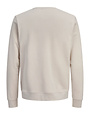 JACK&JONES PLUS JJDEVIN DAYTONA PRINT SWEAT CREW N PLS (3 kleuren)
