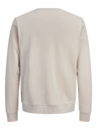JACK&JONES PLUS JJDEVIN DAYTONA PRINT SWEAT CREW N PLS (3 kleuren)