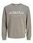 JACK&JONES PLUS JJDEVIN DAYTONA PRINT SWEAT CREW N PLS (3 kleuren)