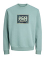 JACK&JONES PLUS JJRAIN SWEAT CREWNECK PLS (3 kleuren)