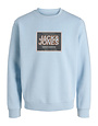 JACK&JONES PLUS JJRAIN SWEAT CREWNECK PLS (3 kleuren)