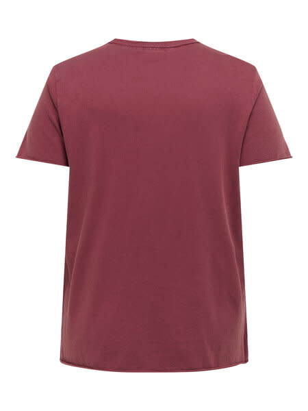 ONLY CARMAKOMA CARMIKO LIFE WASHED SS REG TEE JRS (2 kleuren)