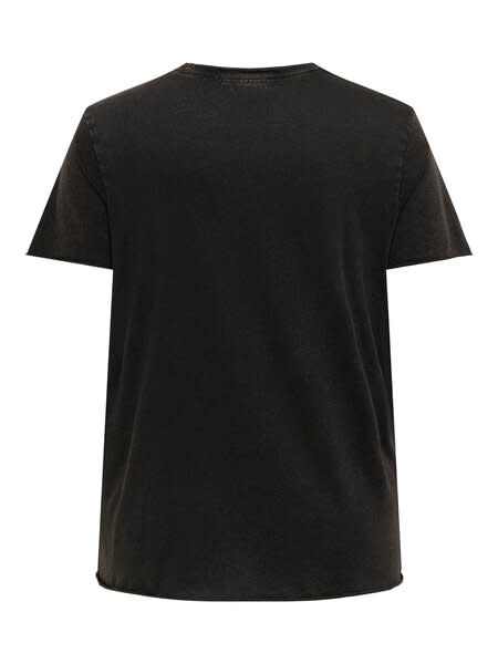 ONLY CARMAKOMA CARMIKO LIFE WASHED SS REG TEE JRS (2 kleuren)