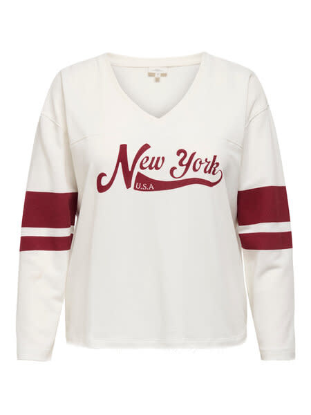 ONLY CARMAKOMA CAREMERY L/S V-NECK SWEAT JRS