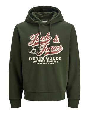 JACK&JONES PLUS JJELOGO SWEAT HOOD 2 COL 25/26 NOOS PLS (meerdere kleuren)
