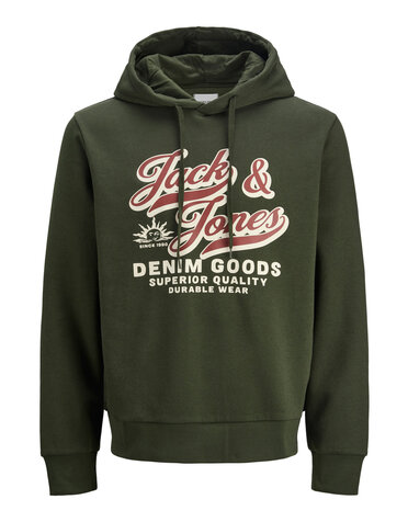 JACK&JONES PLUS JJELOGO SWEAT HOOD 2 COL 25/26 NOOS PLS (meerdere kleuren)