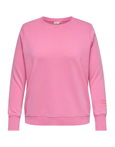 ONLY CARMAKOMA CARMAYA L/S O-NECK SWEAT JRS