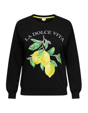 ONLY CARMAKOMA CARLACEY LIFE  L/S O-NECK SWEAT JRS